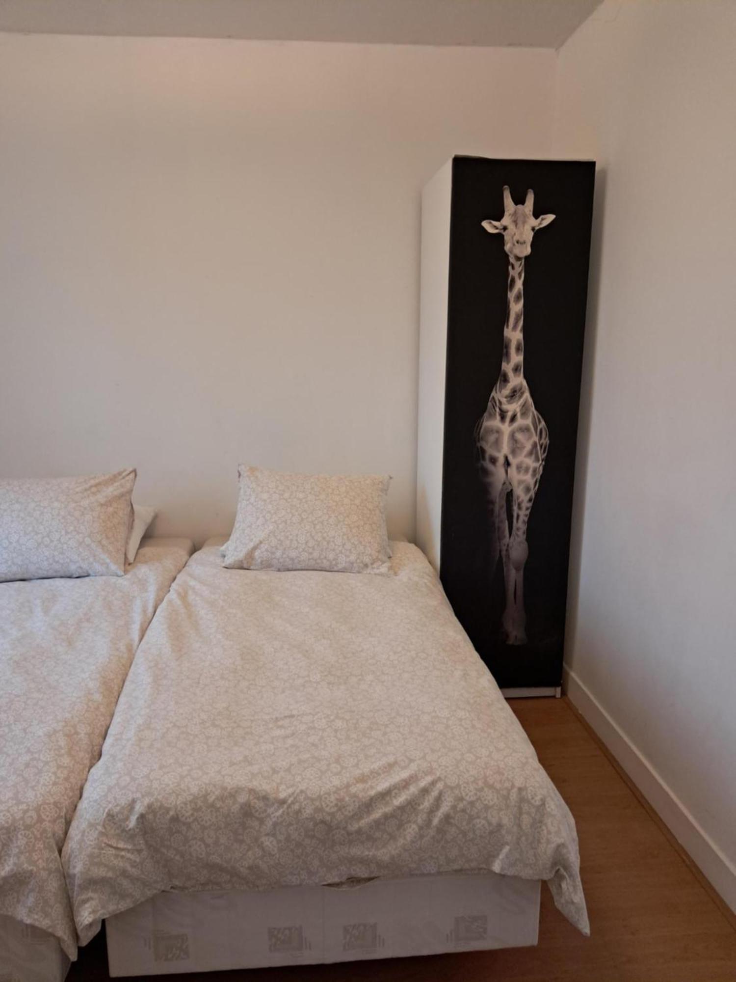 El Sol Zandvoort Room photo